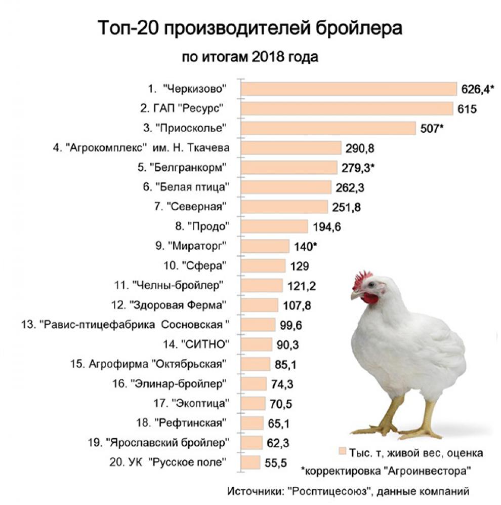 Бройлер россия. Топ производители мяса птицы 2021. Крупнейшие производители мяса в России. Схема производства мяса бройлеров. Крупнейшие производители мяса.