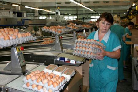 Челябинская / Нижневартовская. Югорское правительство пытается продать птицефабрики